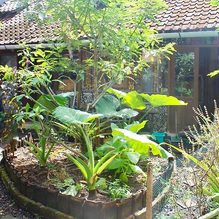 Farmer'S Yard Hostel Canggu  Exterior photo
